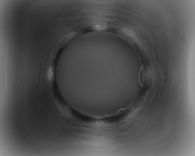 X0000088850598200706151718