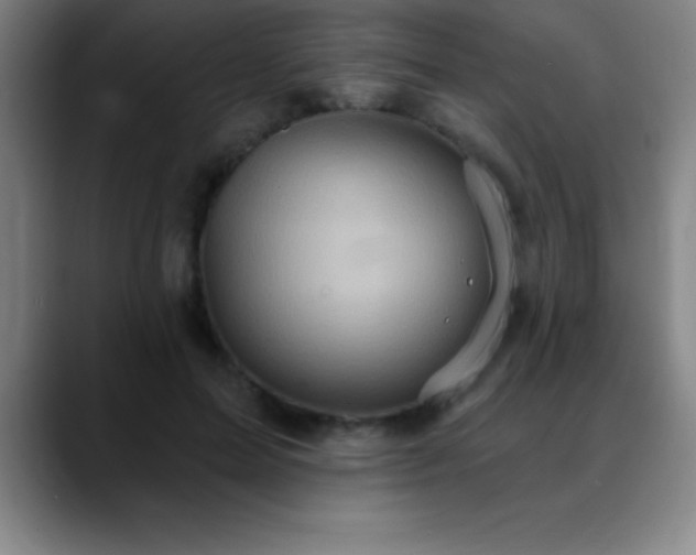 X0000088850599200706151718