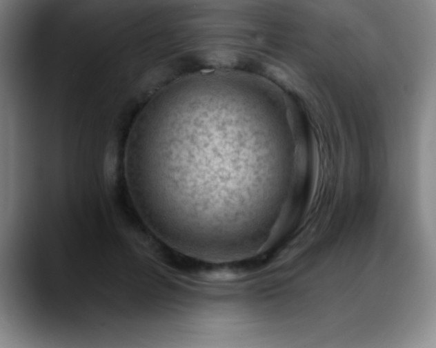 X0000088850600200706151718