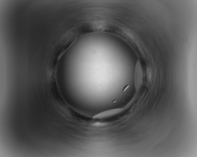 X0000088850601200706151718