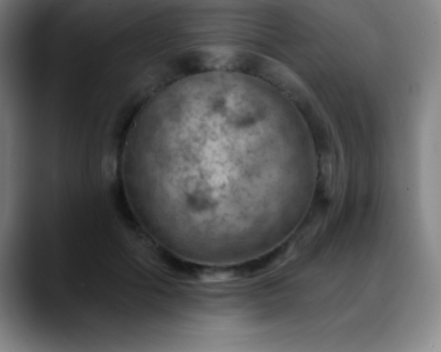 X0000088850602200706151718