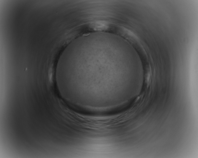 X0000088850604200706151718