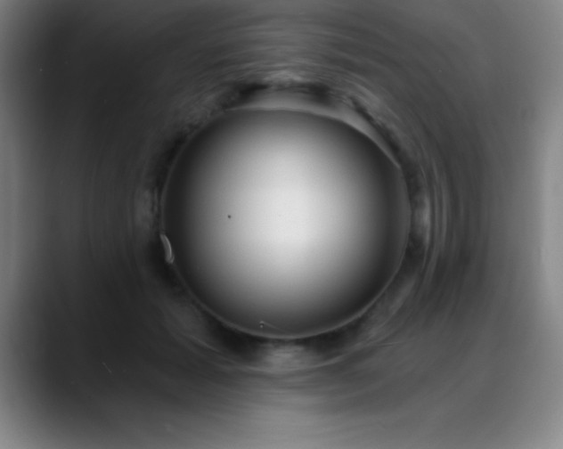 X0000088850605200706151718