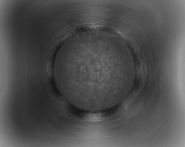 X0000088850606200706151718