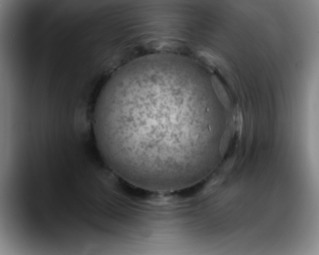 X0000088850607200706151718