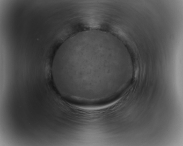 X0000088850609200706151718