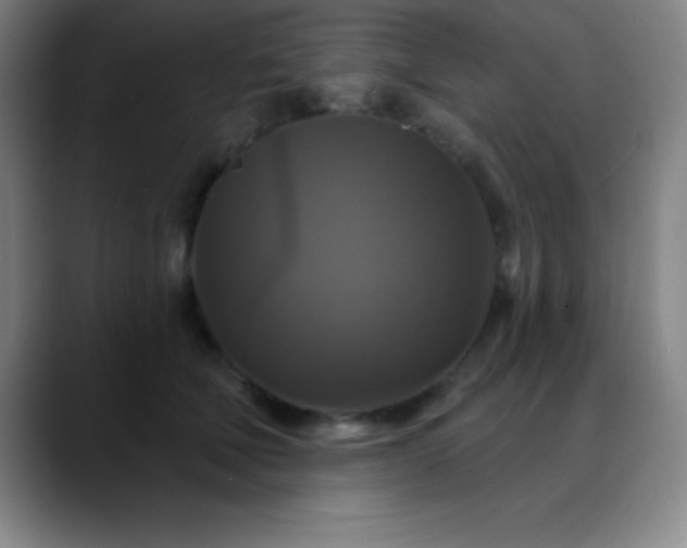 X0000088850610200706151718