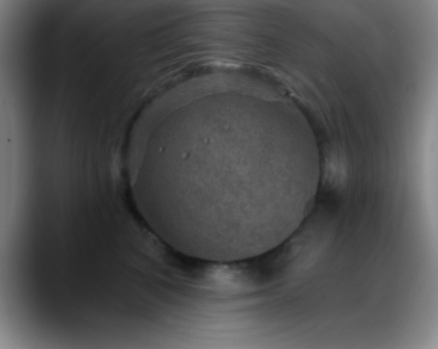 X0000088850616200706151718