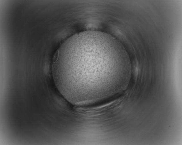 X0000088850619200706151718