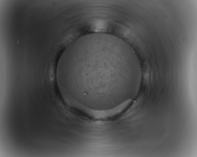 X0000088850620200706151718