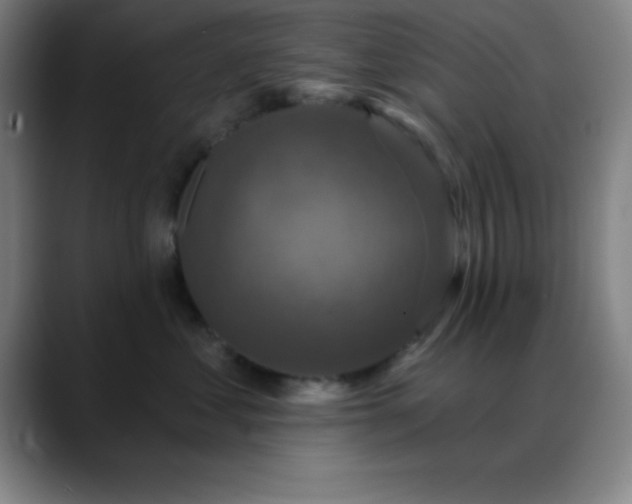 X0000088850621200706151718