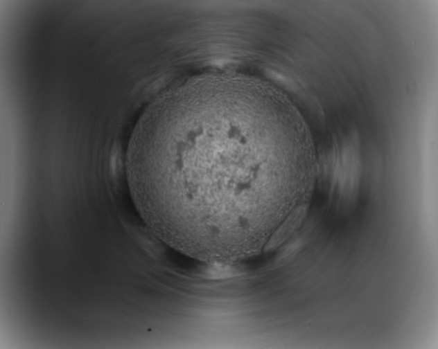 X0000088850623200706151718