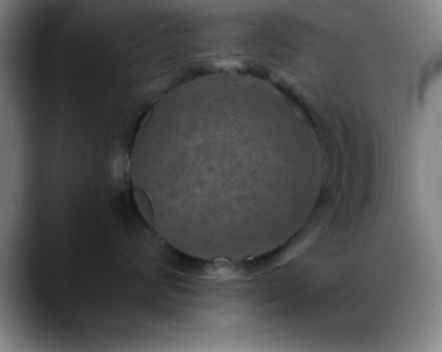 X0000088850624200706151718