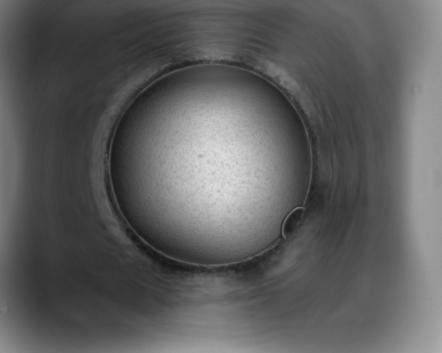 X0000088850625200706151718