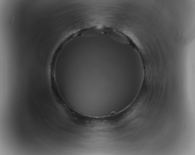 X0000088850626200706151718