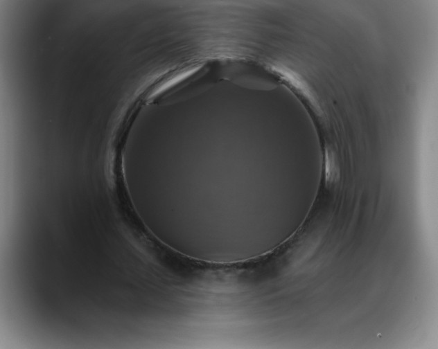 X0000088850627200706151718