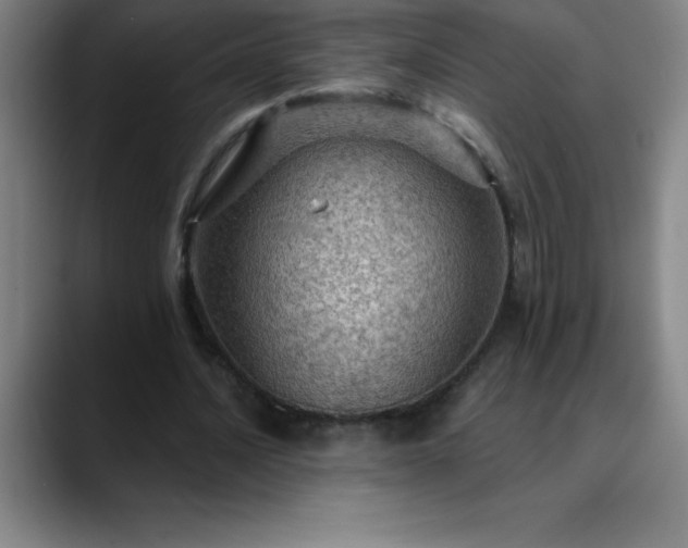 X0000088850628200706151718