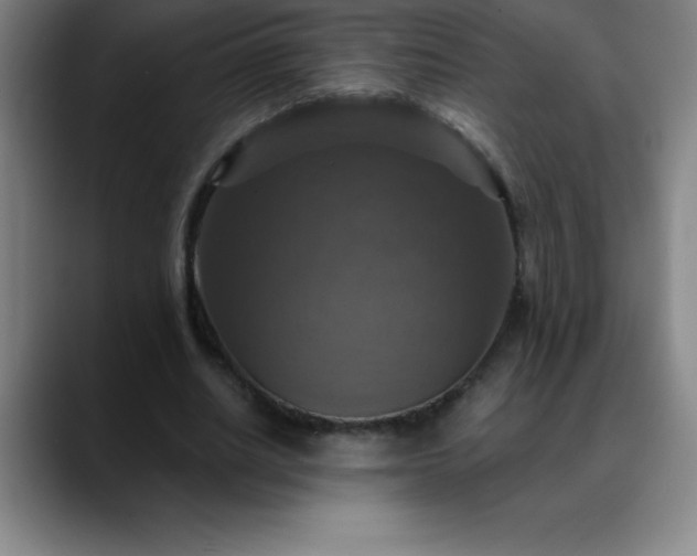 X0000088850630200706151718