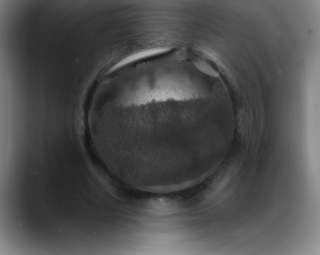 X0000088850634200706151718