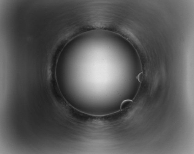 X0000088850635200706151718