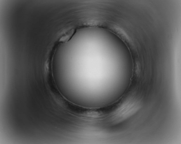 X0000088850636200706151718