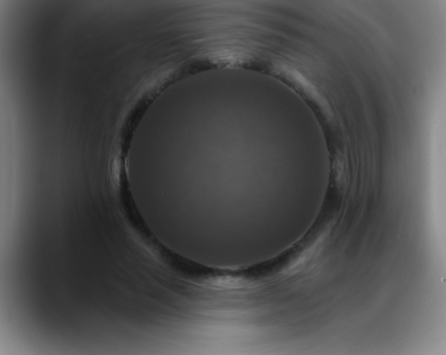 X0000088850637200706151718