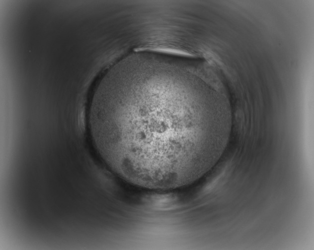 X0000088850638200706151718