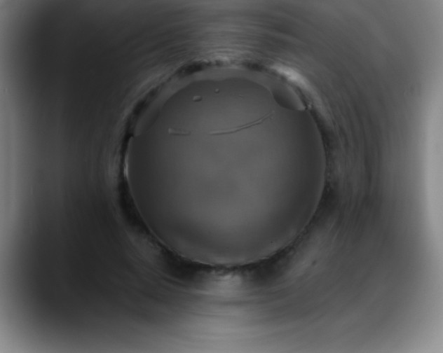 X0000088850640200706151718