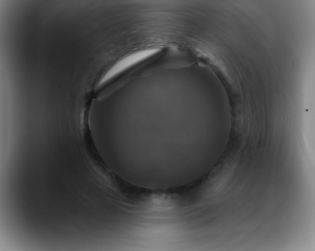 X0000088850641200706151718