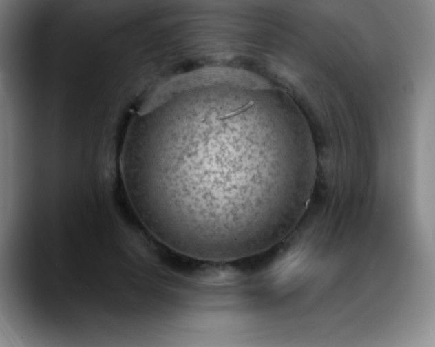 X0000088850642200706151718