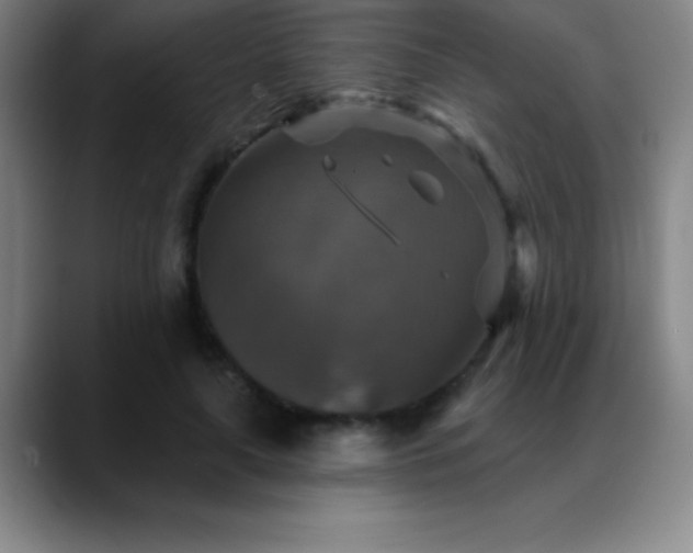 X0000088850643200706151718