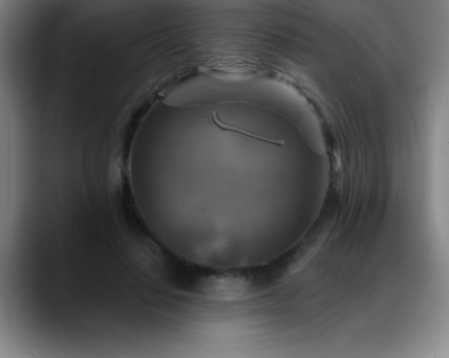 X0000088850644200706151718