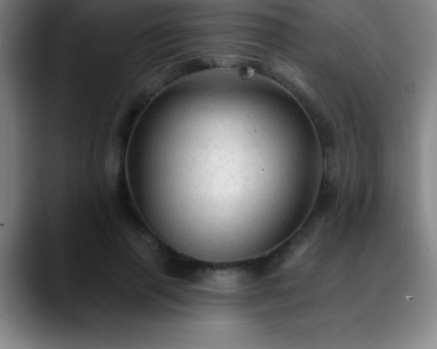 X0000088850645200706151718