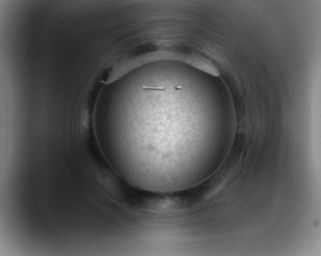 X0000088850646200706151718