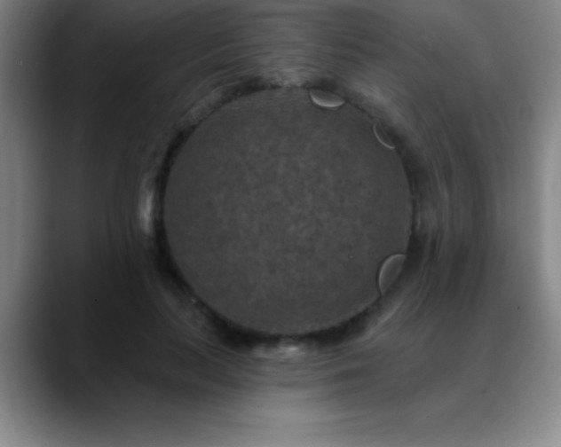 X0000088850647200706151718