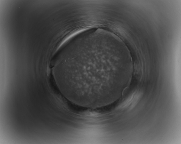 X0000088850648200706151718