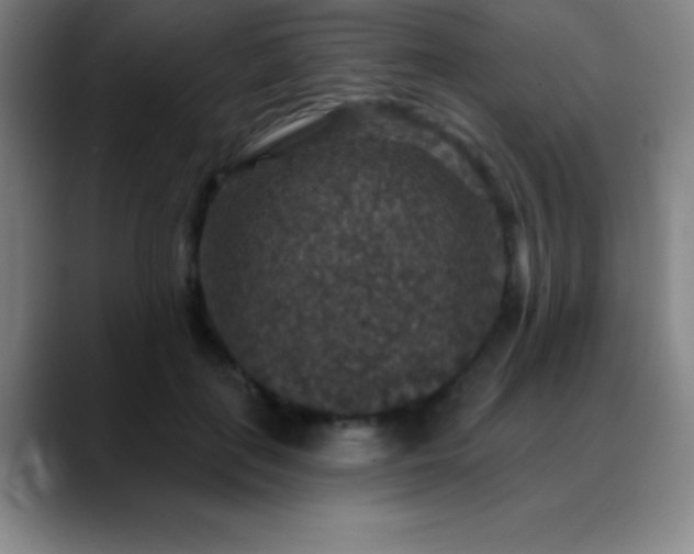 X0000088850651200706151718