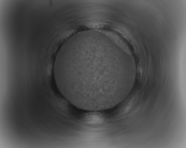 X0000088850652200706151718