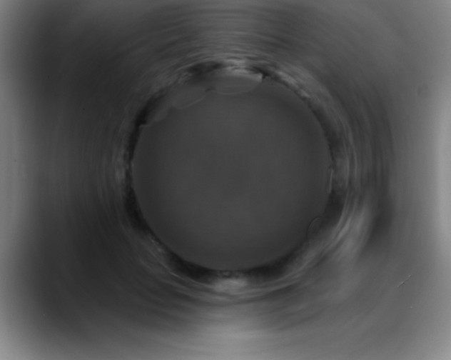 X0000088850653200706151718