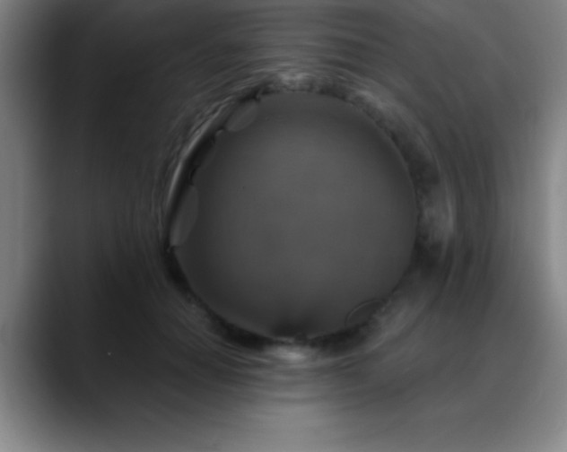 X0000088850654200706151718