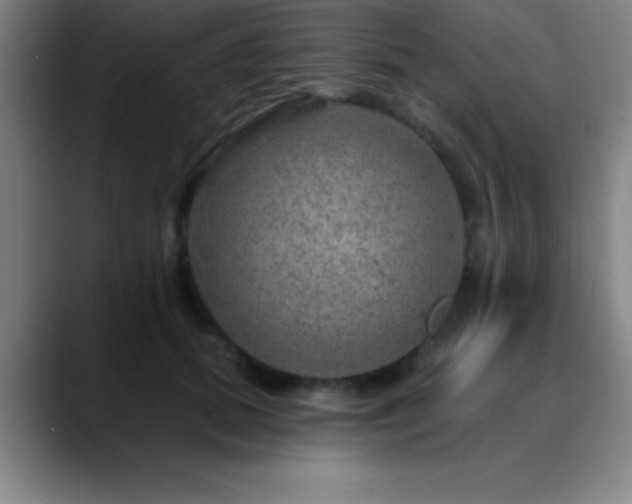 X0000088850655200706151718