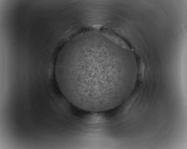 X0000088850656200706151718