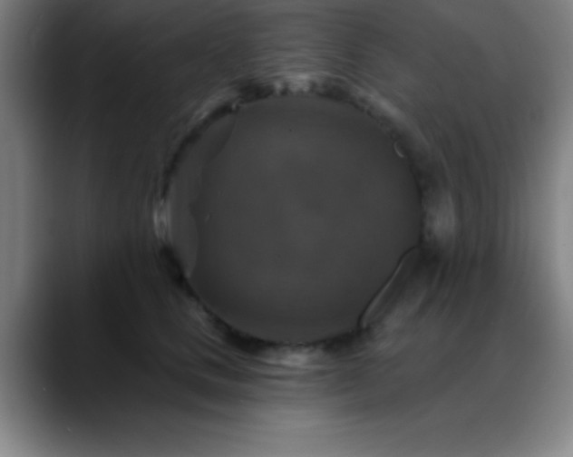 X0000088850661200706151718