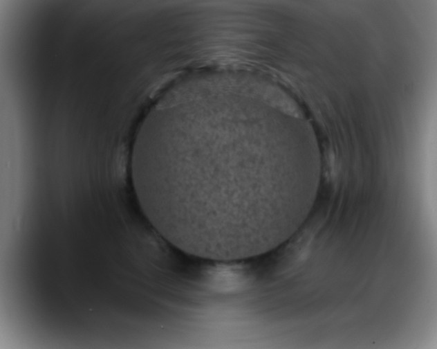 X0000088850664200706151718