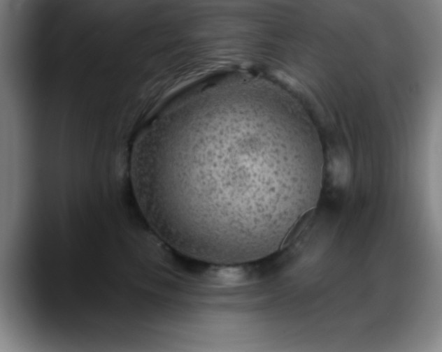 X0000088850665200706151718