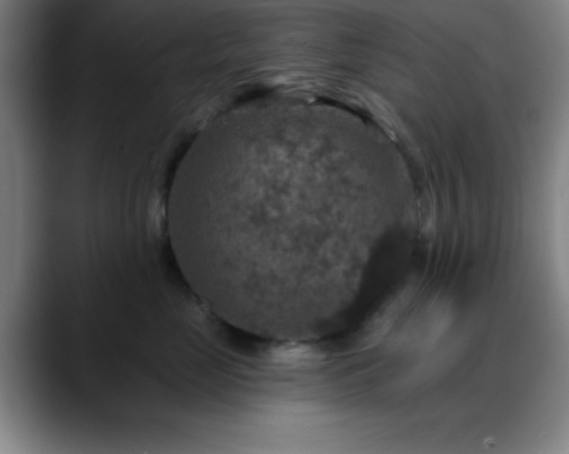 X0000088850669200706151718