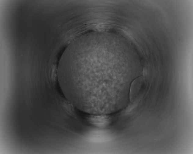 X0000088850671200706151718