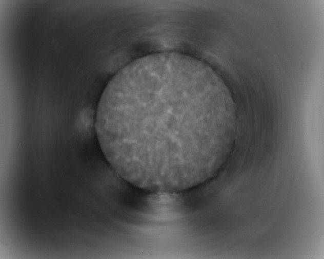 X0000088850672200706151718