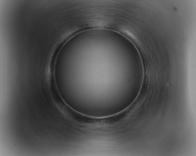 X0000088850674200706151718