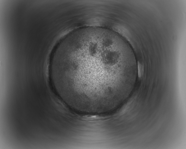 X0000088850675200706151718